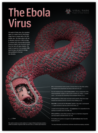 ebola-virus