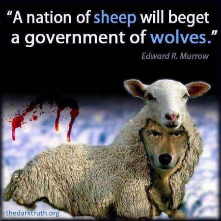 nation of sheep