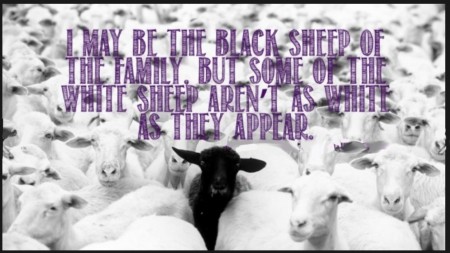 black-sheep-of-family-but-the-white-sheep-arent-as-white-as-they-appear